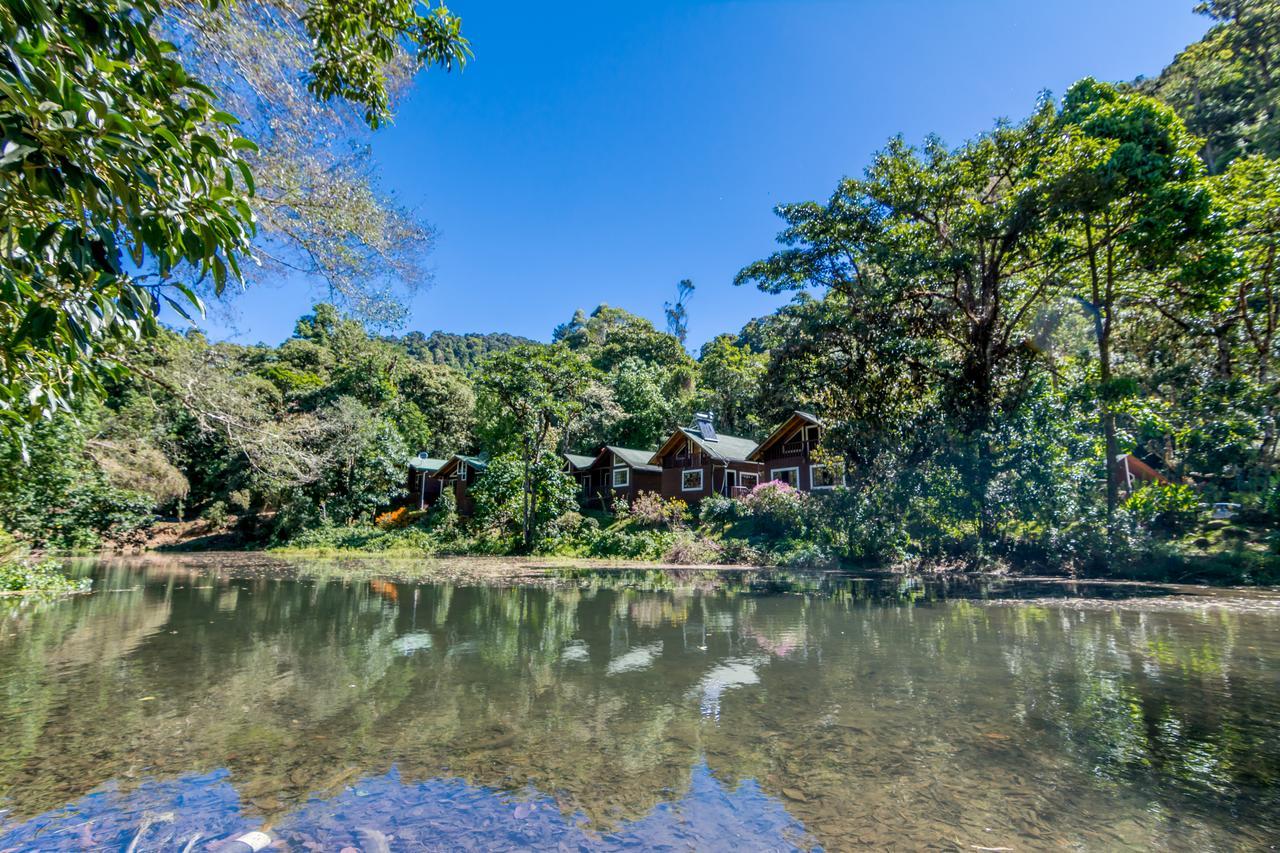 Suenos Del Bosque Lodge San Gerardo de Dota Exterior photo